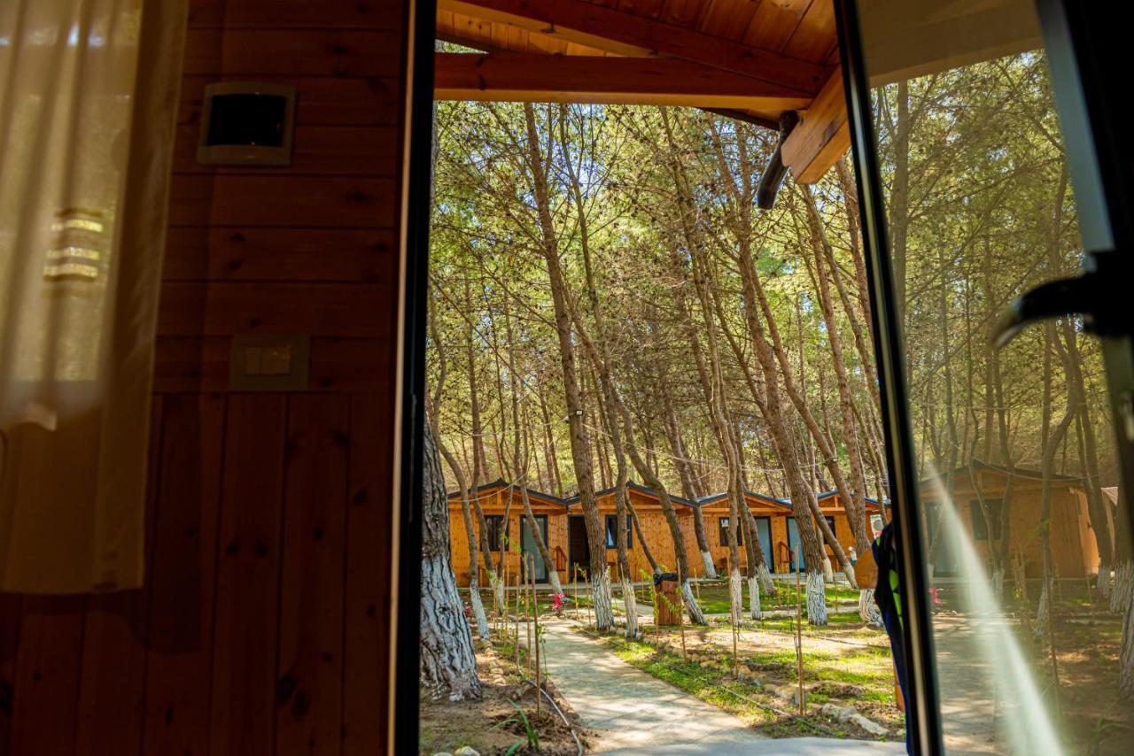 Ecuador Resort Zvernec Luaran gambar