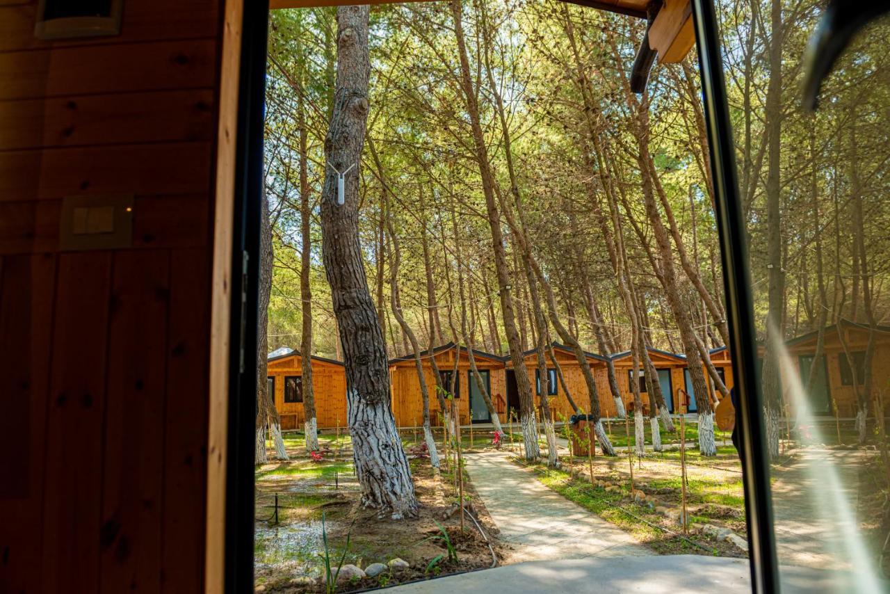 Ecuador Resort Zvernec Luaran gambar