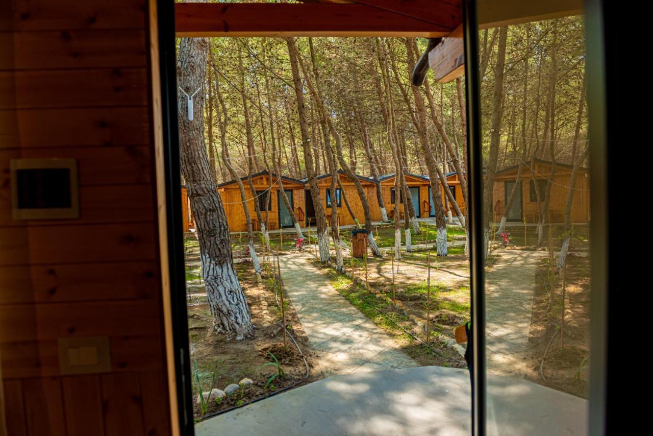 Ecuador Resort Zvernec Luaran gambar