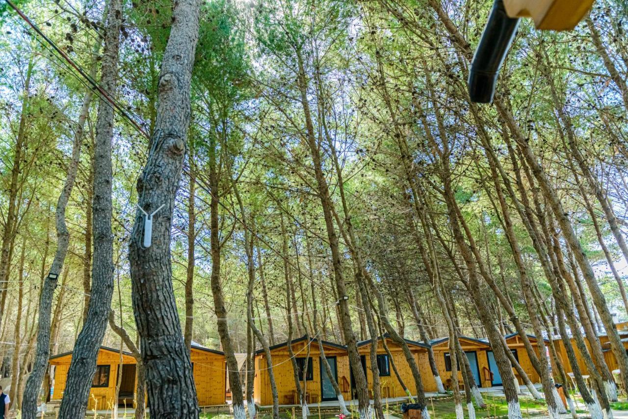Ecuador Resort Zvernec Luaran gambar