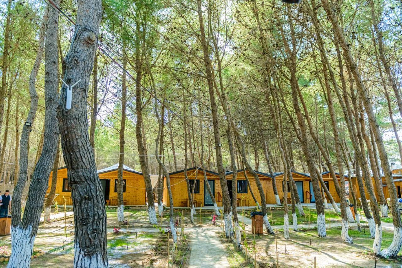 Ecuador Resort Zvernec Luaran gambar